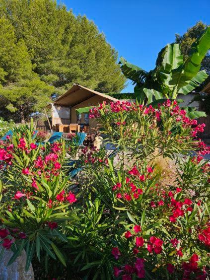 Domaine Du Chene Otel Campagnan Dış mekan fotoğraf